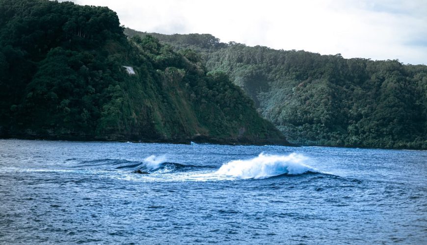 Surf trips and surf camps on a discount
