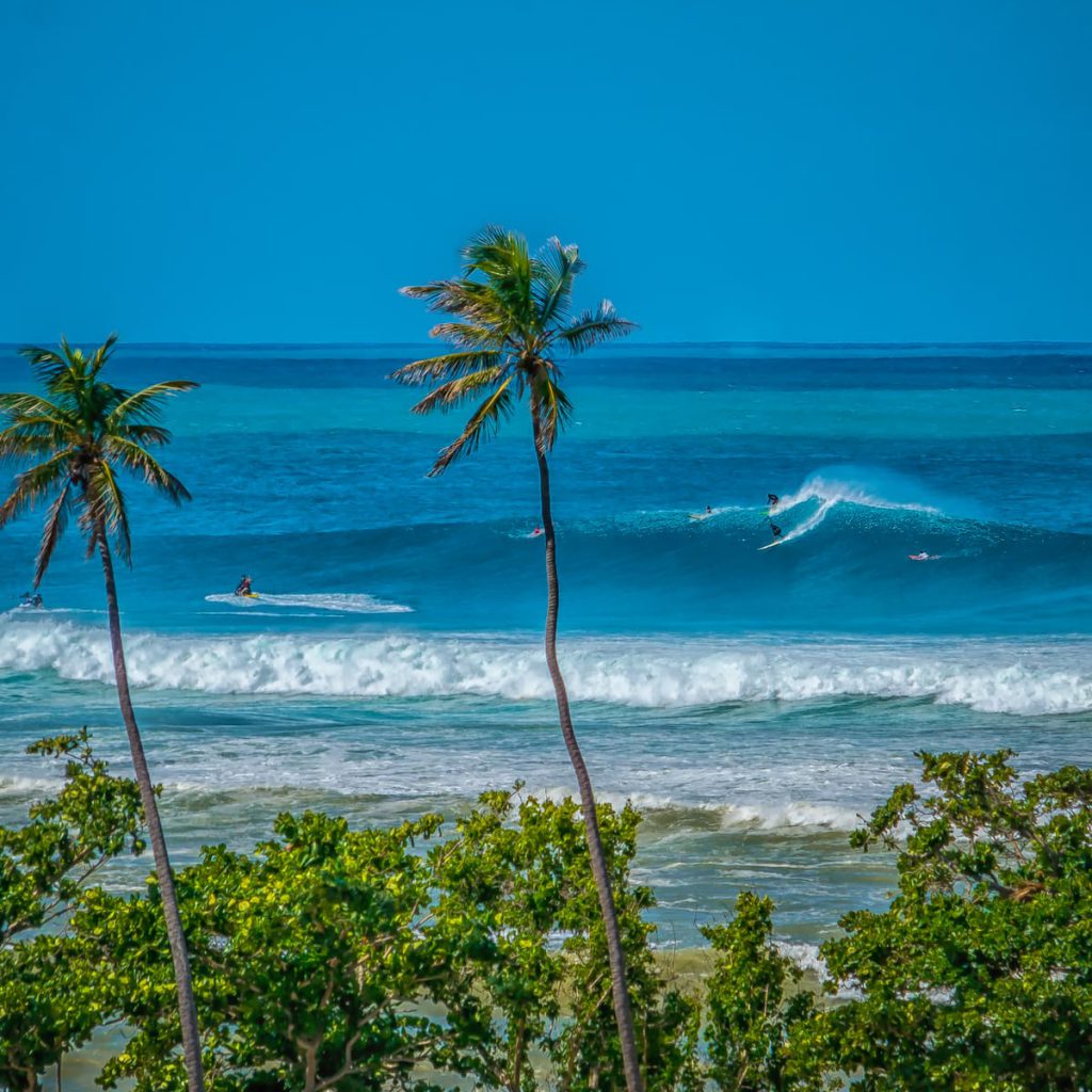 @lucasmoorephoto / @rinconsurfschoolresort