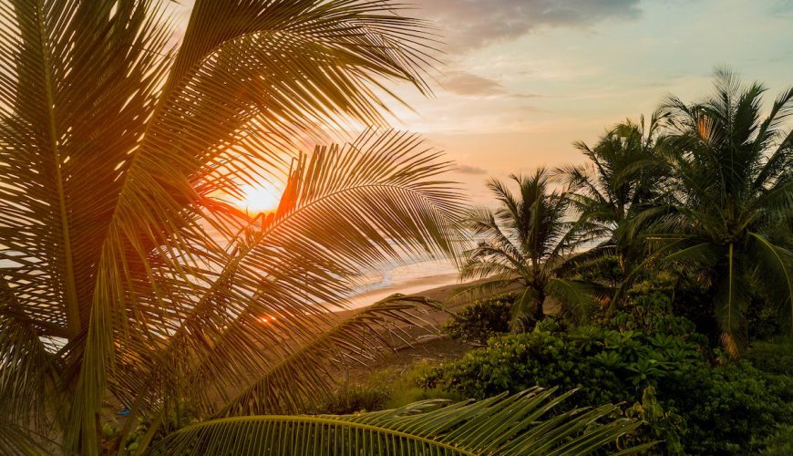 Surf trips and surf camps on a discount